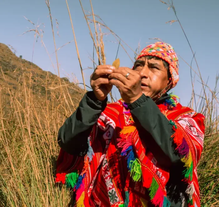 Conexión espiritual Camino Inca