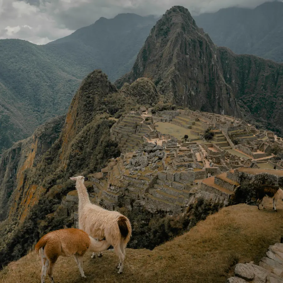 dia5 camino de lares machu picchu