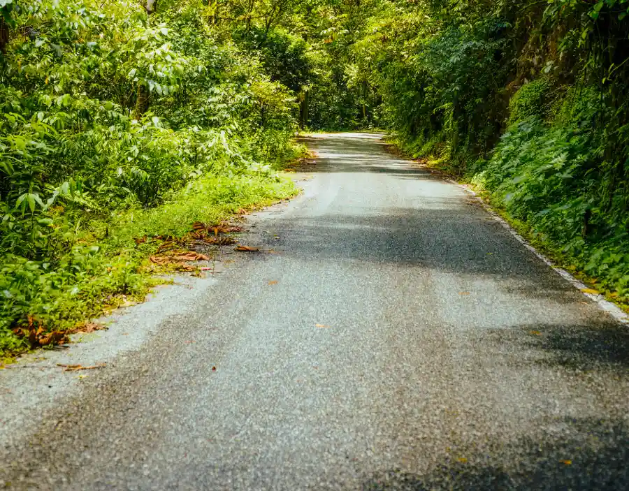 Pozuzo Town with Charm: A Unique Cultural Treasure in Peru