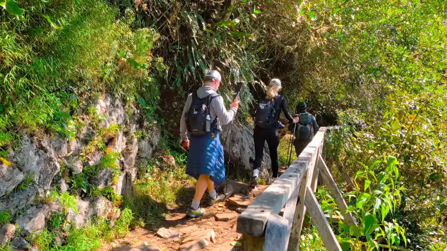 I Will Never Go Hiking — Or So I Thought