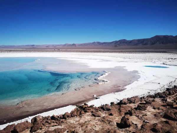 Turquoise waters and salt formations at Cejar Lagoon in the Atacama Desert of Chile