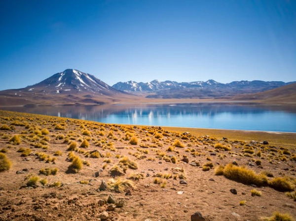 High-altitude lagoons and volcanic landscapes in the Chilean Altiplano near Miscanti and Miñiques