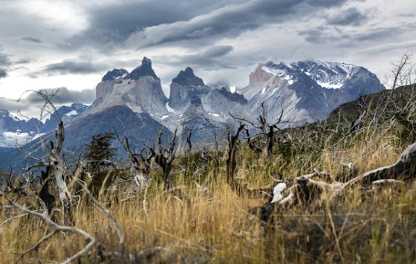 Torres del Paine mountain landscape during the W Circuit trekking adventure in Chilean Patagonia